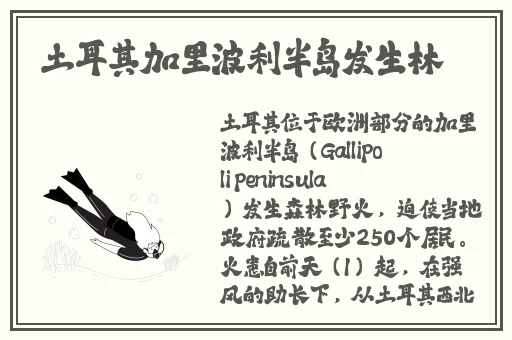 思敏全集1一5正版免费看